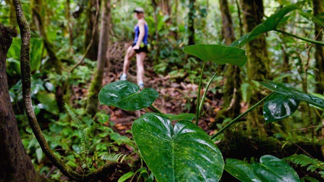 Mountain Climbing in Nevis Island