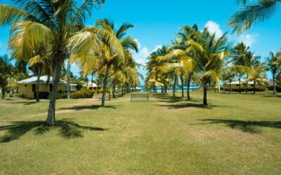 Caribbean Island of Nevis Aims to Lead the Way in Sustainability