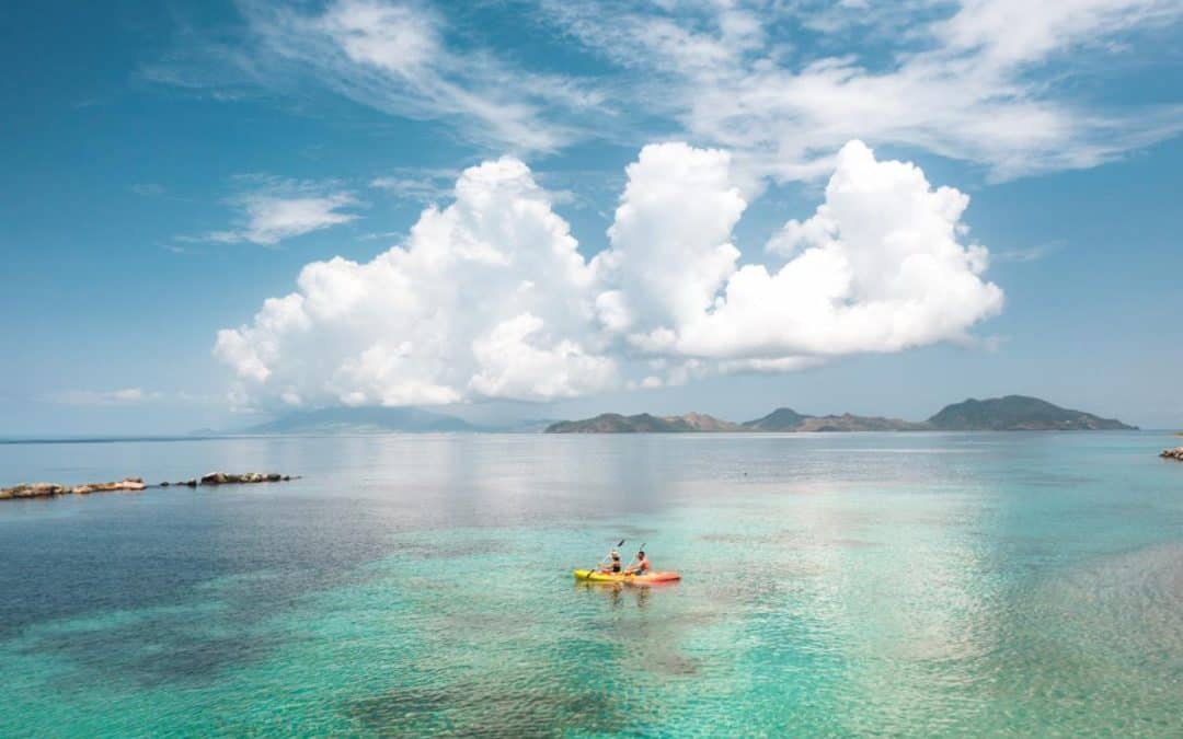 Sea Turtle Summer Camp Returns To Four Seasons Resort Nevis