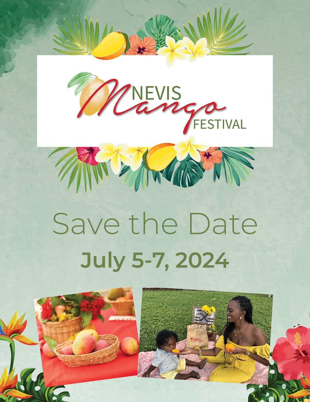 Nevis Mango Festival 2024 Nevis Tourism Authority